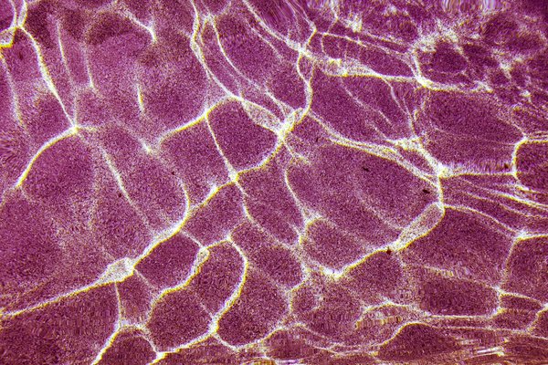 Où découvrir les plus belles plages de sable rose aux Bahamas ?